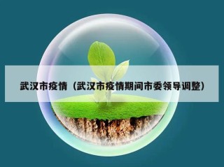武汉市疫情（武汉市疫情期间市委领导调整）