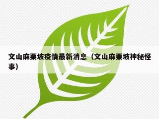 文山麻栗坡疫情最新消息（文山麻栗坡神秘怪事）