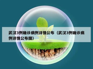 武汉3例确诊病例详情公布（武汉3例确诊病例详情公布图）