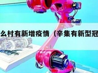 辛集什么村有新增疫情（辛集有新型冠状病毒吗）
