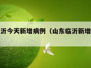 山东临沂今天新增病例（山东临沂新增确诊病例）