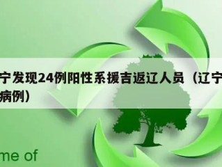 辽宁发现24例阳性系援吉返辽人员（辽宁输入病例）